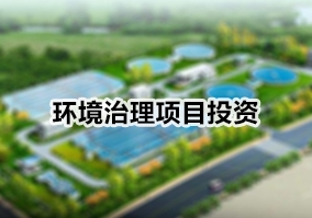 環境治理項目投資
